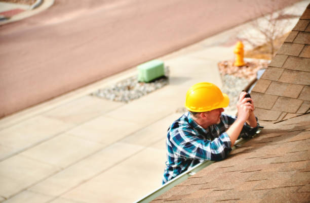 Best Roof Moss and Algae Removal  in Waldorf, MD
